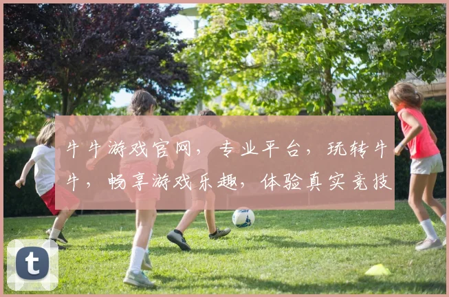 牛牛游戏官网，专业平台，玩转牛牛，畅享游戏乐趣，体验真实竞技