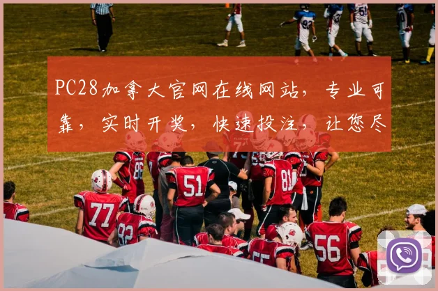 PC28加拿大官网在线网站，专业可靠，实时开奖，快速投注，让您尽享刺激体验